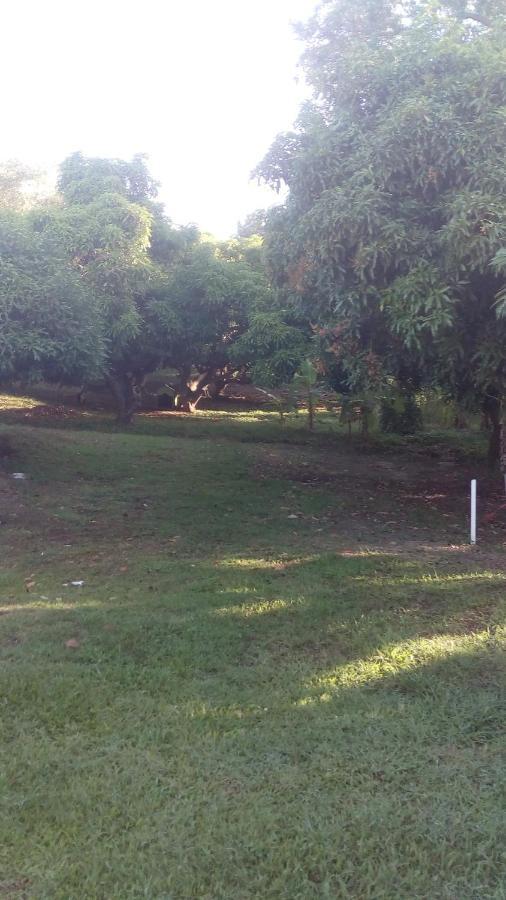 Residences Aux Saveurs Des Mangues Baillif Kültér fotó